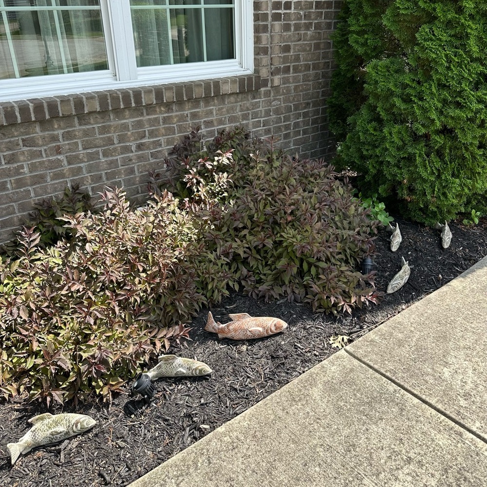 Heavy Clay Fish Swimming Yard Art